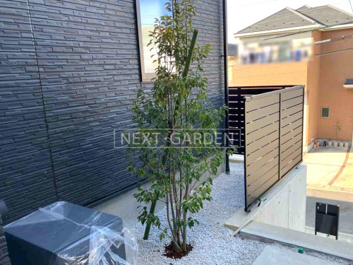 ����ܥ�ĥ꡼ ���襴 ���м� ���� �ܱ����ե���ʽ LIXIL ����ĴAB YS3-K�� ������å� ���ꥨ�������ܥ֥�å�