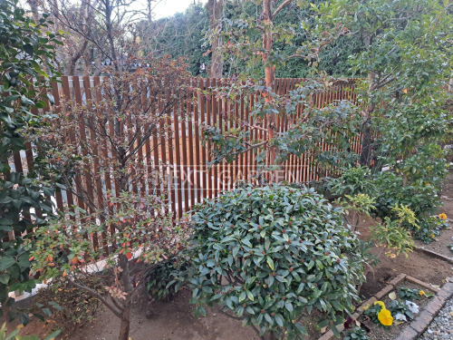    ����Ĵ �륷����H08�� ���ƥ��ȥ饤�� 