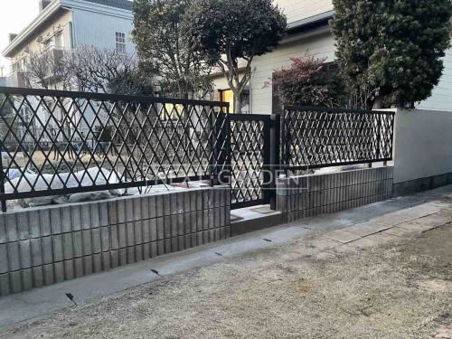 ���ο�����������֥饦��