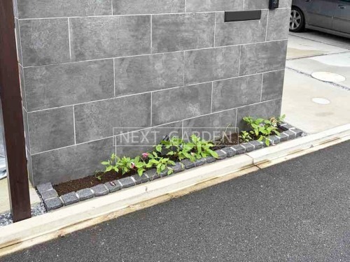 ���� ���� �ԥ󥳥���